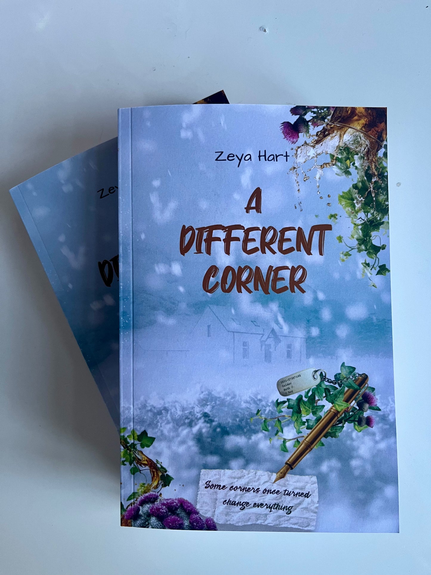 A Different Corner by Zeya Hart